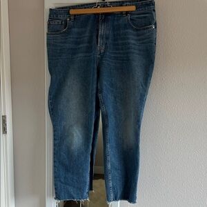 Everlane The Curvy Cheeky Jean size 34 Ankle